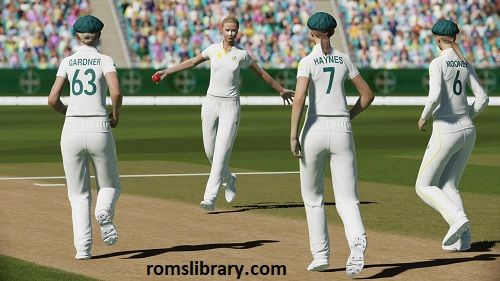 Cricket 22 The Official Game Of The Ashes Switch ROM Download