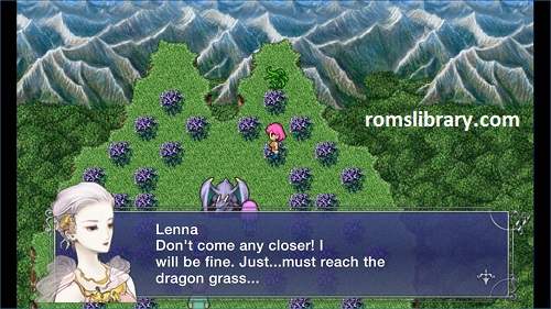 Final Fantasy V ROM Free Download