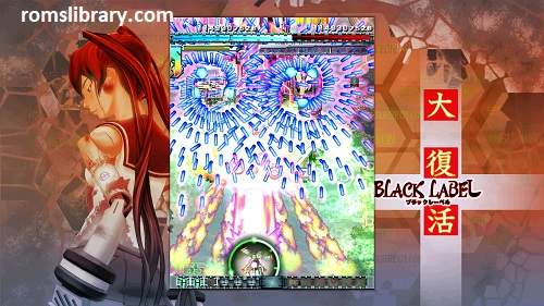 DODONPACHI SAIDAIOUJOU Switch ROM